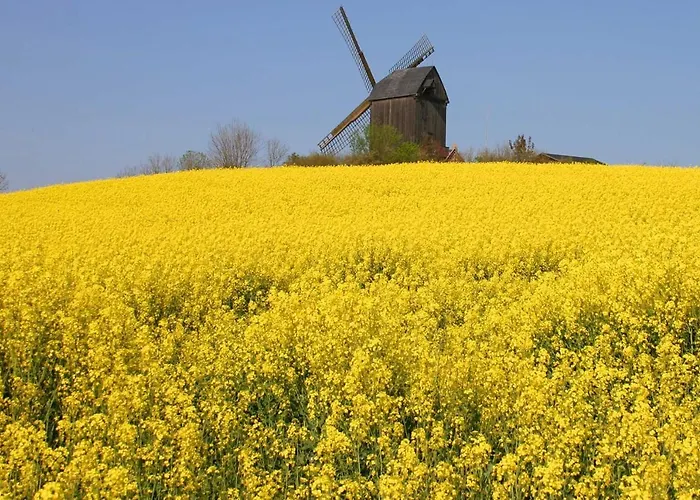 بيت للعطل Muehlenblick Pudagla